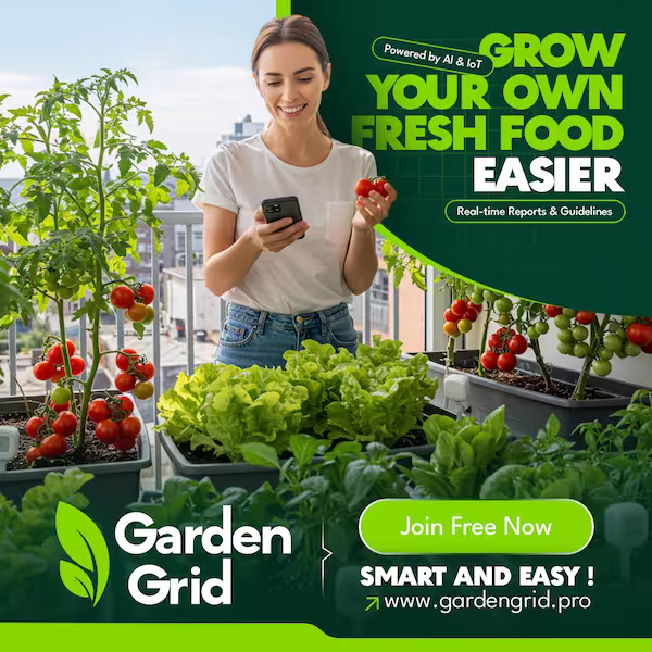 Raised garden beds with vegetables