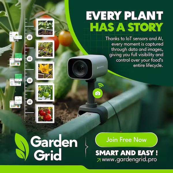 Garden pathway and seating area